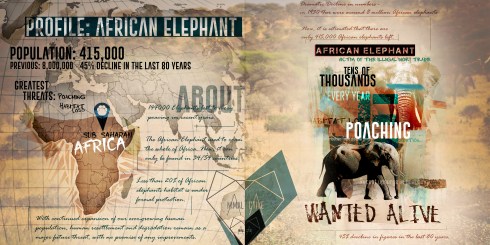 African Elephant Component