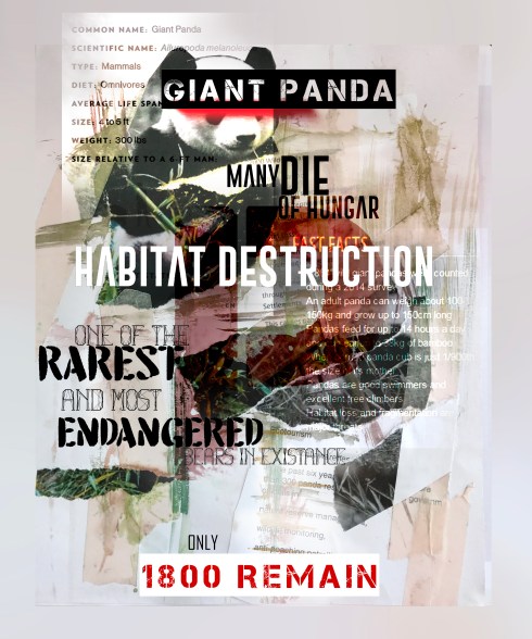 digitalo panda 1