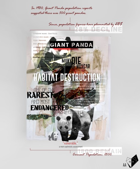 infographic panda