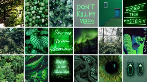 green moodboard